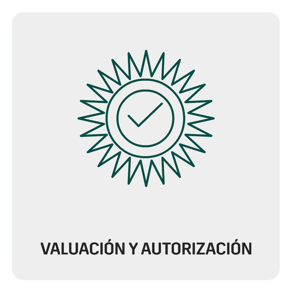 Paso 2 para reparar tu Cadillac