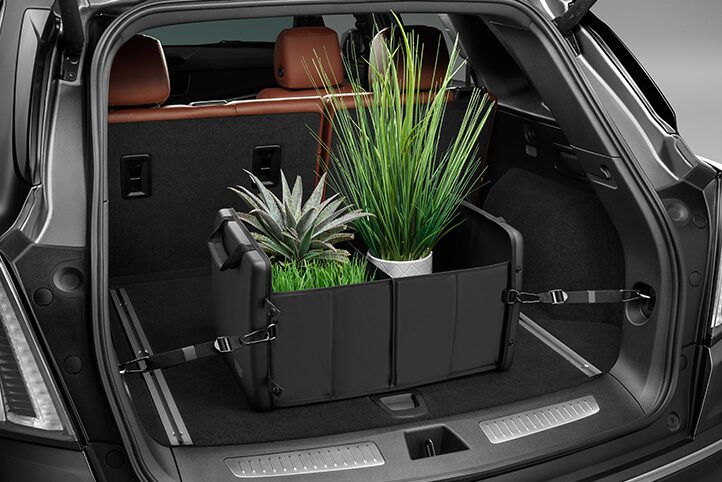 Organizador de carga premium