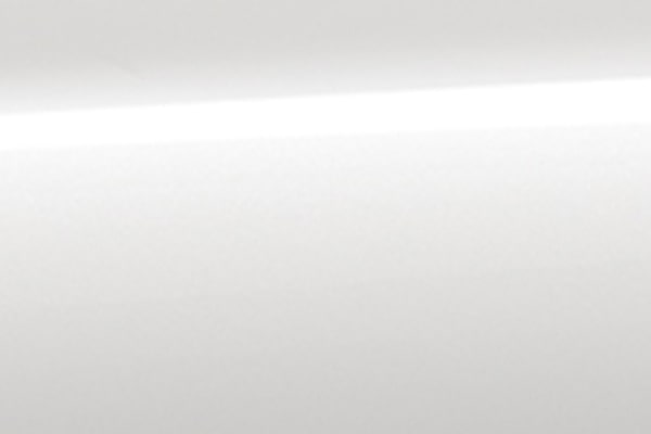 Pantone color Polar White Metallic
